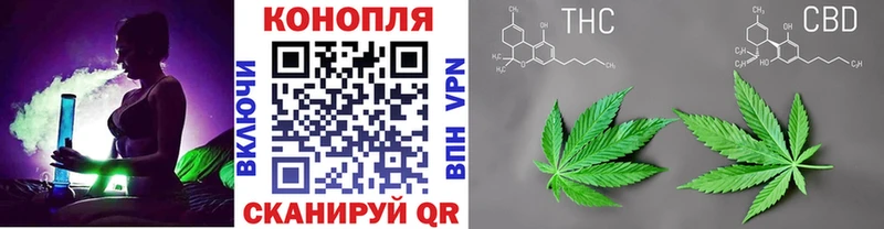 Марихуана THC 21%  Купить где  Бабаево 